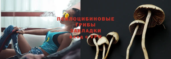 СК Абдулино